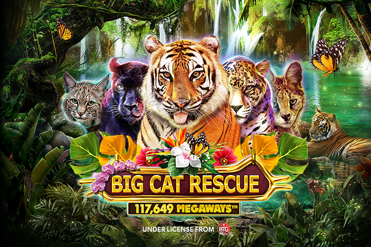 Big Cat Rescue Megaways